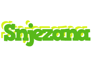 Snjezana picnic logo