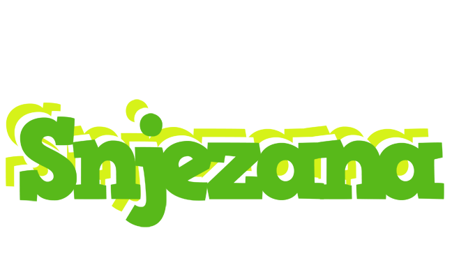 Snjezana picnic logo