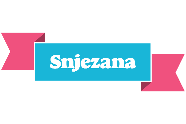 Snjezana today logo