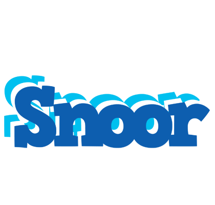 Snoor business logo