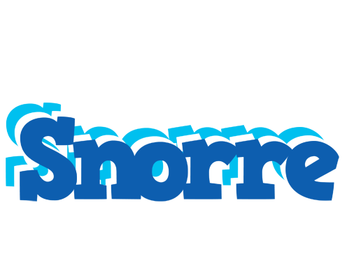 Snorre business logo