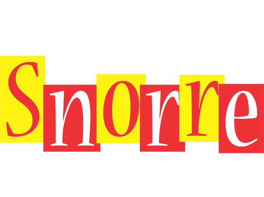Snorre errors logo