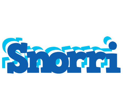 Snorri business logo