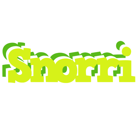Snorri citrus logo