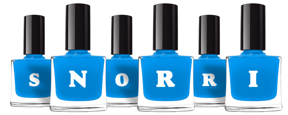 Snorri glossy logo