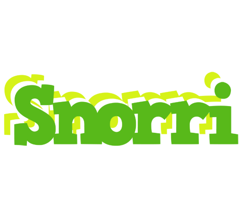 Snorri picnic logo