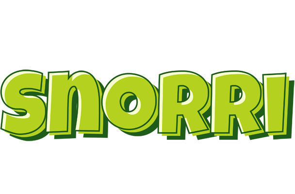 Snorri summer logo