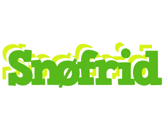 Snøfrid picnic logo