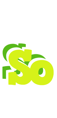 So citrus logo