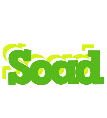 Soad picnic logo
