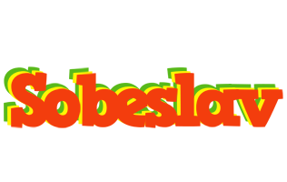 Sobeslav bbq logo