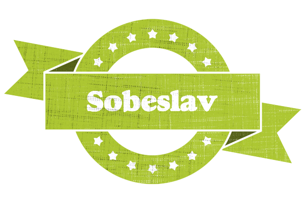 Sobeslav change logo
