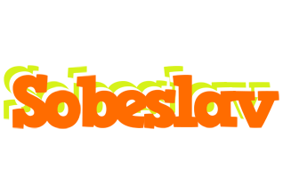 Sobeslav healthy logo