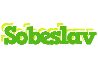 Sobeslav picnic logo