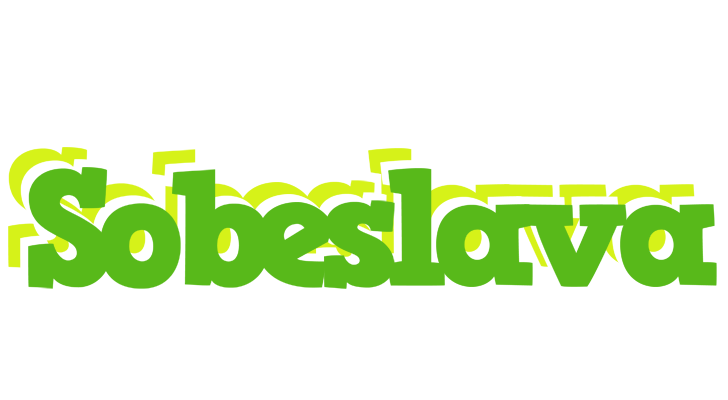 Sobeslava picnic logo