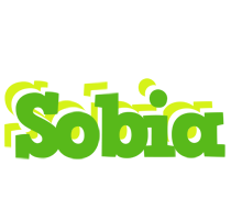 Sobia picnic logo