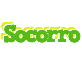 Socorro picnic logo