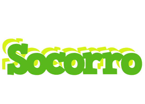 Socorro picnic logo