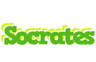 Socrates picnic logo