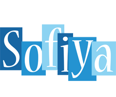 Sofiya winter logo