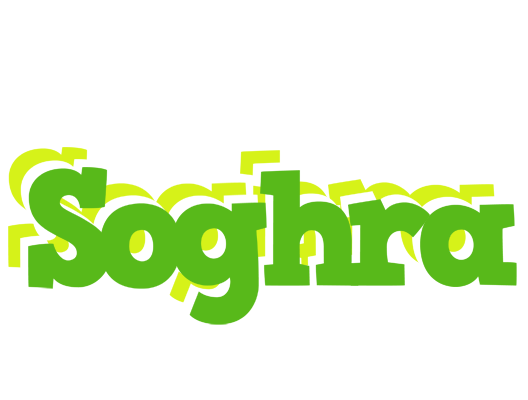 Soghra picnic logo