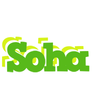 Soha picnic logo