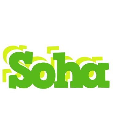 Soha picnic logo