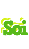 Soi picnic logo