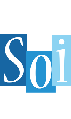 Soi winter logo