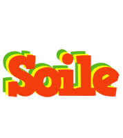 Soile bbq logo