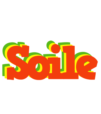 Soile bbq logo