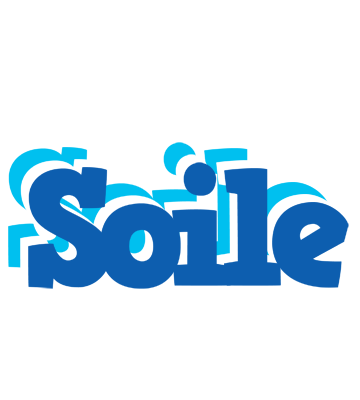 Soile business logo
