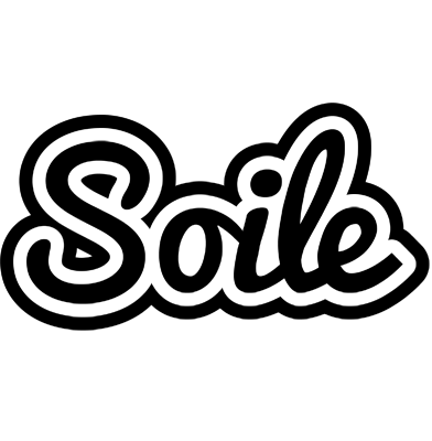Soile chess logo