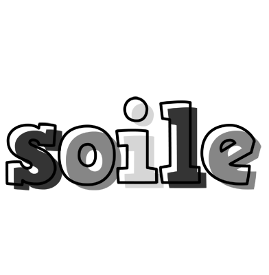 Soile night logo