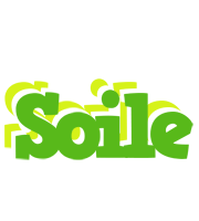 Soile picnic logo