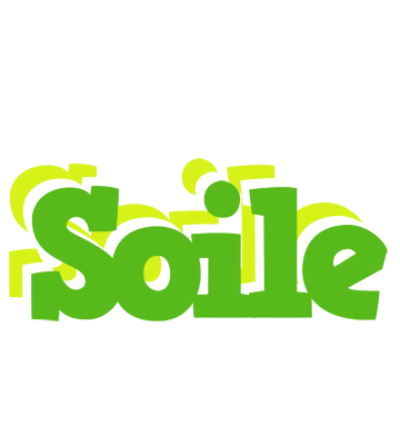 Soile picnic logo