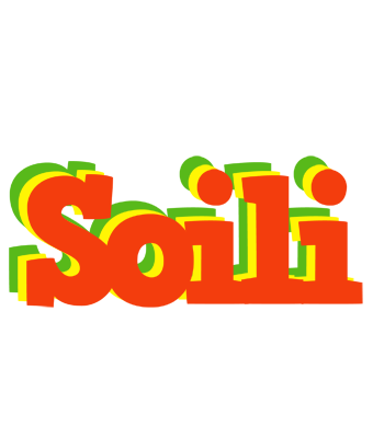 Soili bbq logo