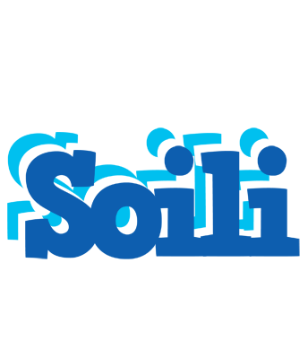 Soili business logo