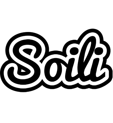Soili chess logo