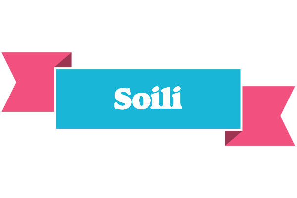 Soili today logo