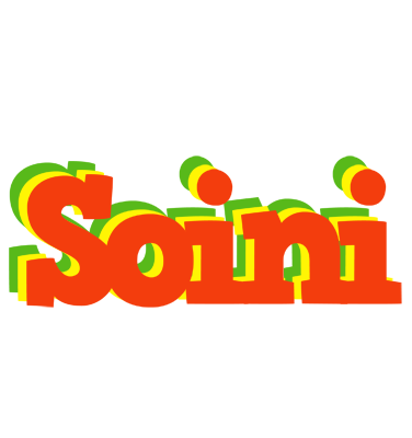 Soini bbq logo