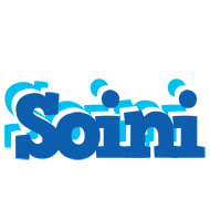 Soini business logo