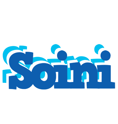 Soini business logo