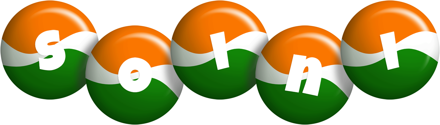 Soini india logo