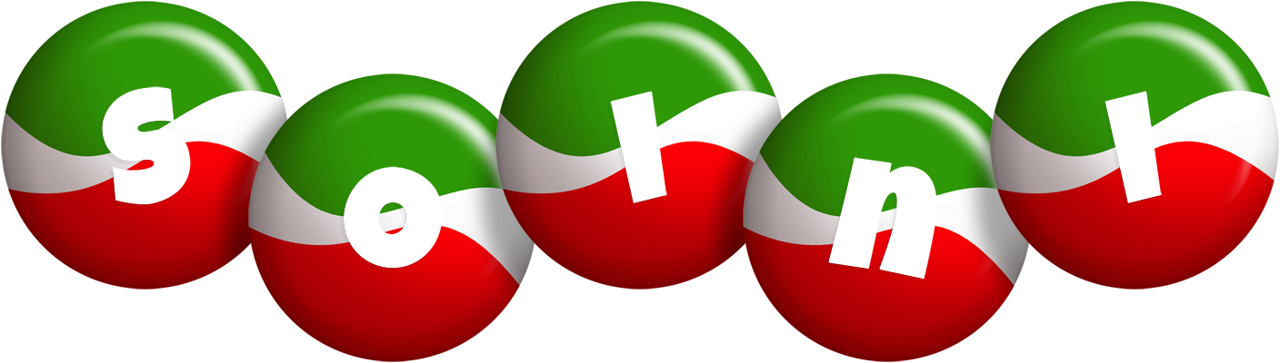 Soini italy logo