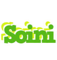 Soini picnic logo