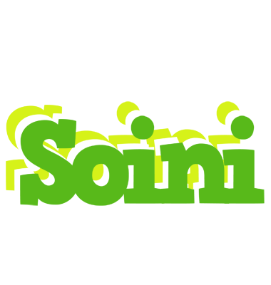 Soini picnic logo