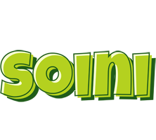 Soini summer logo