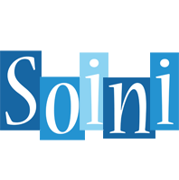 Soini winter logo