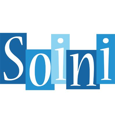 Soini winter logo